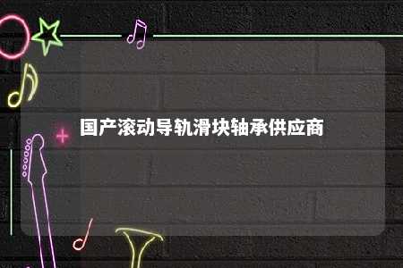 国产滚动导轨滑块轴承供应商 